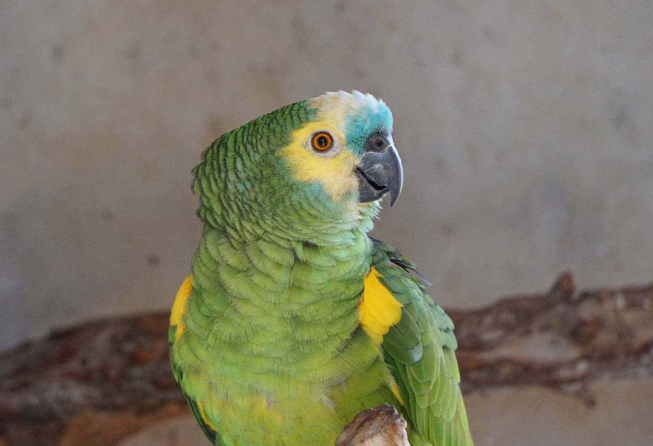 DSC02744