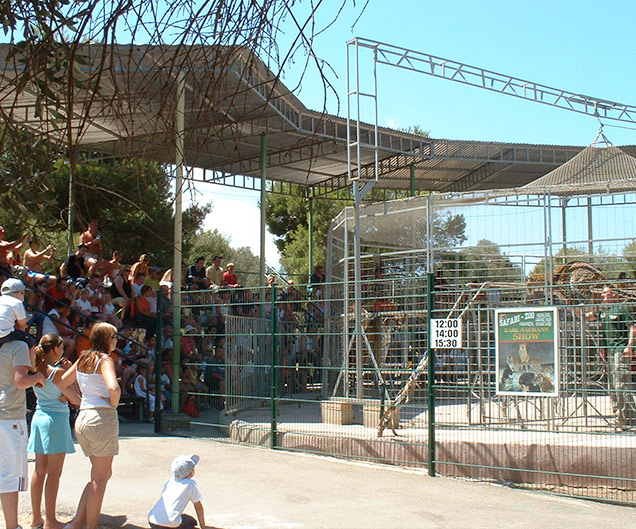 Espectáculos circenses con “fieras”